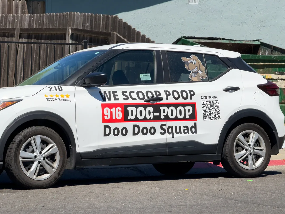 custom vehicle graphic installation